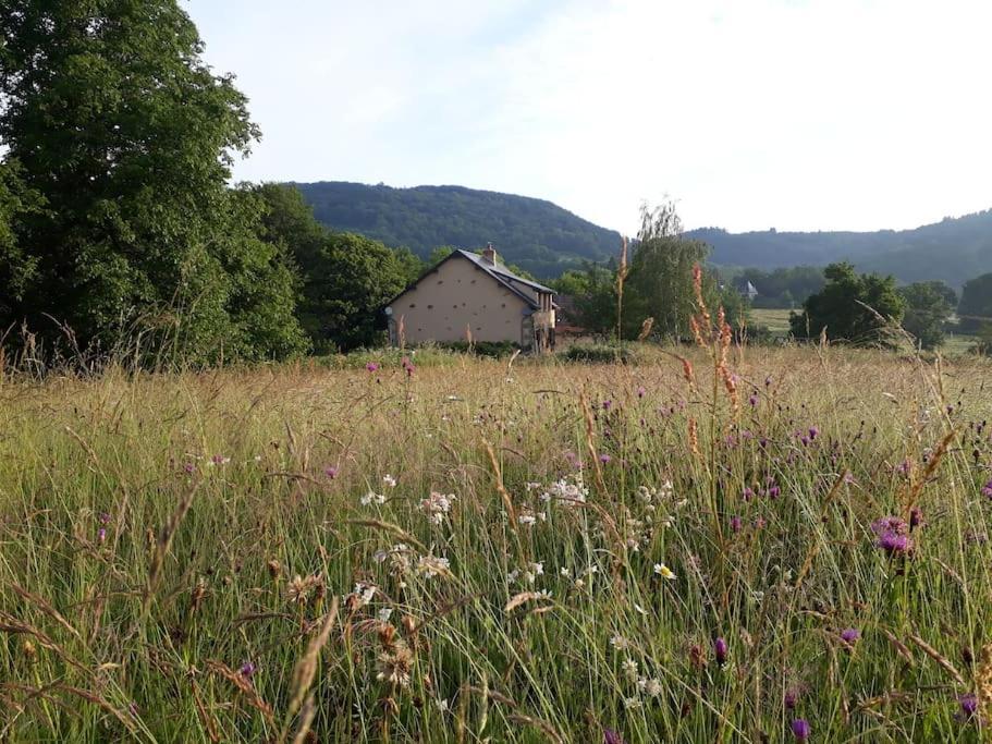 Le Studio Du Crot Noir Cussy-en-Morvan Exterior foto